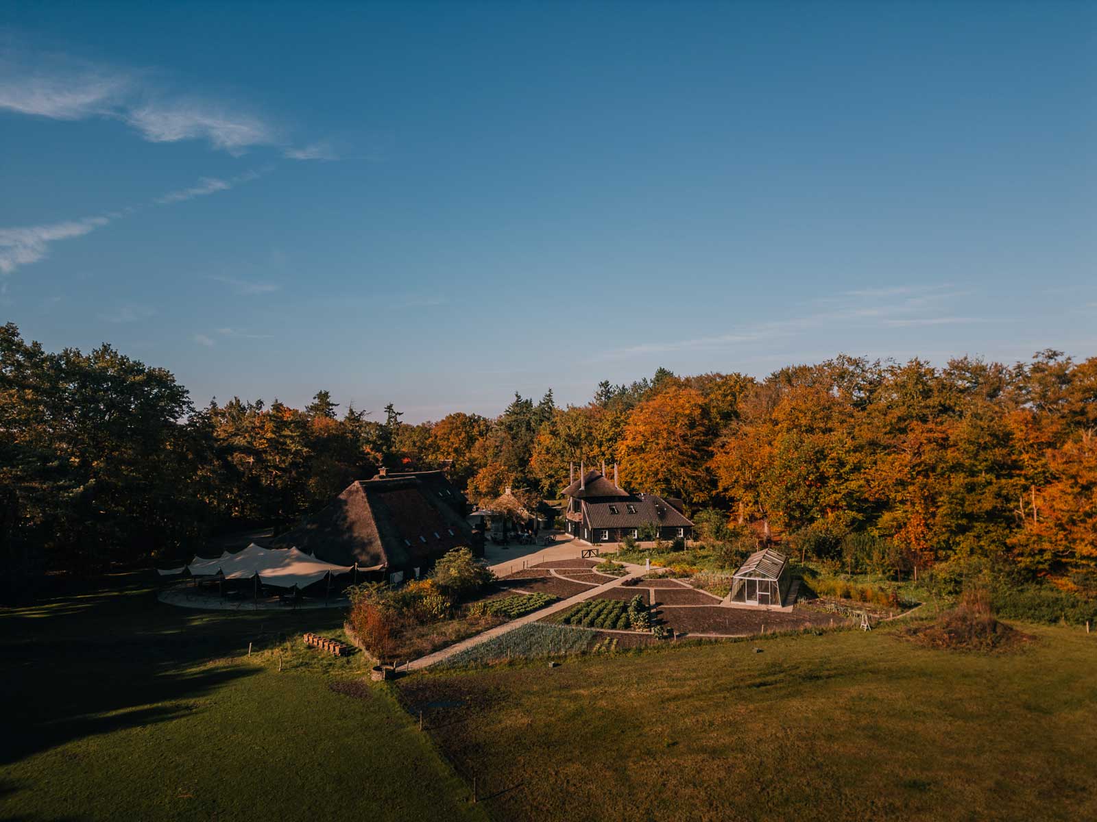ulvenhart-herfst-weide